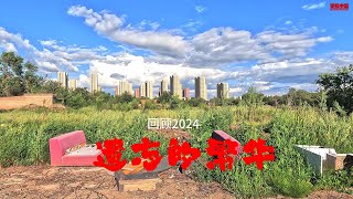 回顾我的2024，追忆那些被遗忘的繁华，abandoned factory，photography China