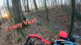 Leśny Vlog