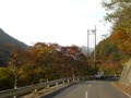 紅葉ドライブ 長野県 松川渓谷