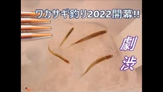 2022年　初ワカサギ釣りは、激渋!! #ワカサギ釣り#茨戸川#氷上釣り