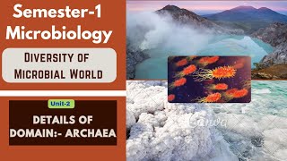 Semester-1 Core Paper | Domain- Archaea | Archaebacteria | Diversity of microbial world |