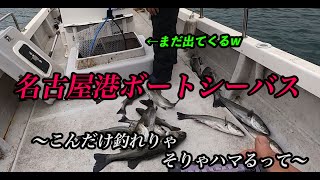 【名古屋港】シーバスの巣窟にお邪魔しましたww【ボートシーバス】