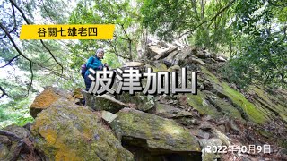 【波津加山】果然谷關七雄老四不好惹。高度落差約1000公尺、毫不客氣地一路陡上、以閩南語「坡真陡」形容是再恰當不過了！