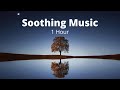 1 Hour Healing Music, Meditation, Study, Sleep, Stress Relief, Relaxing Music, Yoga Vol 2