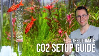 Beginner CO2 Setup Guide for Planted Aquariums | EP10 Planted Tank Overview