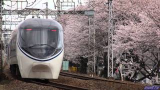 JR東海 371系 特急電車 JR Central 371 series EMU