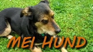 MEI HUND - Hundesong