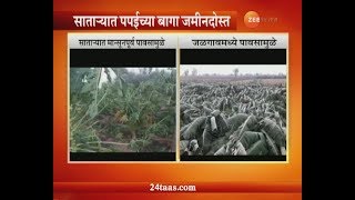 Satara | Jalgaon | Fruit Farm Destroyed From Heavy Rainfall