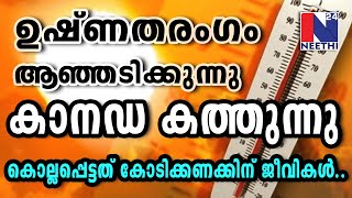 ഉഷ്‌ണതരംഗം ആഞ്ഞടിക്കുന്നു, കൊല്ലപ്പെട്ടത് കോടിക്കണക്കിന് ജീവികൾ, Heat Wave Canada