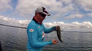 Hot Bite Gang Banger Spoon Fishing for Australian Bass