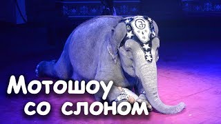 Цирковое представление - Мотошоу со слоном. Яркие моменты.