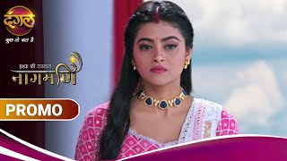 Ishq Ki Dastaan Naagmani | मोहिनी ने शंकर और पारो के बीच फूट डालने की कोशिश की | New Promo