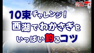 10束チャレンジ！西湖でわかさぎをいっぱい釣るコツ