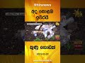 අද කොළඹ ඉවරයි කුණු ගොඩක් hiru news