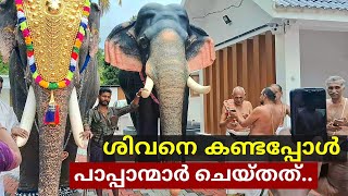 അവസാനം അവൻ ഒന്ന് മടികാണിച്ചതാണോ.?😳Sivasundhar, paranoor Nandhan, Jayaram elephant🥰🔥