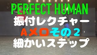 振付レクチャー動画！オリラジ【PERFECT HUMAN】Aメロその2 ステップ編