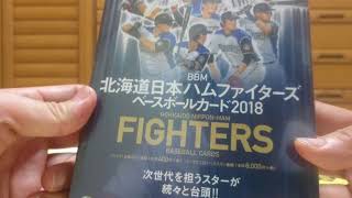 トレカフェスタSUMMERで購入したプロ野球福パックを大量開封 前編