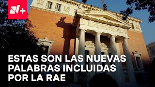 La RAE incluye nuevas palabras - En Punto