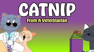 The Science Behind Catnip (Explained by a Vet)