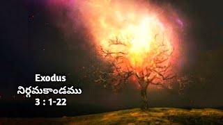 Telugu Audio Bible || Exodus - నిర్గమకాండము 3 : 1-22