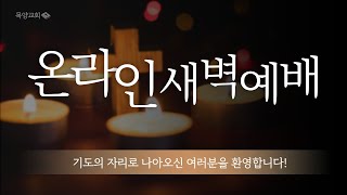 2024년 11월 12일(화) 목양교회 실시간 새벽예배