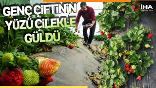 Adana’da Suya Kavuşan Topraklarda Üretim Başladı