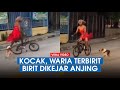 Video Kocak Waria Naik Sepeda Dikejar Anjing: Baju Merah Jangan Sampai Lolos