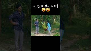 জামাই যখন নতুন বিয়ে করতে চায় | Niloy Alamgir | Tasnuva Tisha | Best funny.