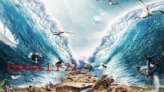 The Bible - Exodus (Chapter 1)