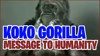 Koko's Final Message to Humanity