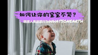 地球人类迷惑行为：如何让你的宝宝不哭？     | 沙雕视频 | 搞笑迷因 | 爆笑萌宠 | 麻仔废片