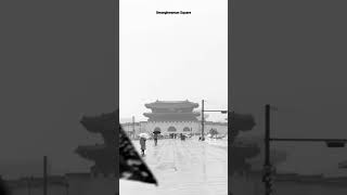 Melancholy Snowy Gwanghwamun Square #Shorts