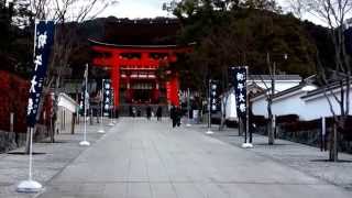 京都・伏見稲荷大社と稲荷山で出会った猫たち　Fushimi Inari Taisha in Kyoto and the cats which I came across in Inariyma