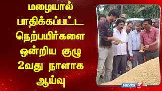 மழையால் பாதிக்கப்பட்ட நெற்பயிர்களை ஒன்றிய குழு 2 வது நாளாக ஆய்வு | Thiruvarur | News 7 Tamil