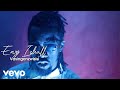 Enzo Ishall - Vasingazvinzwisise (ChillSpot Foreign Pamutabhera Mic Sessions) Video