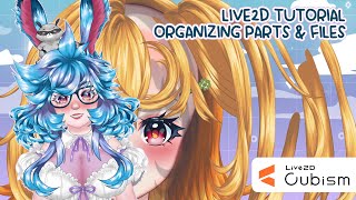 [ Live2D Tutorial ] Making a VTuber Model! File Prep and Organization