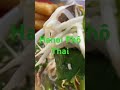 March 2 2024 Hanoi Phô Tai #vietnamesefood #streetfood #food #foodie #yummy #asianfood #asiandish