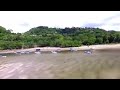 crocodiles in tamarindo rivermouth