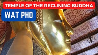 Reclining Buddha | Best Attraction in Bangkok |  Buddha Temple Bangkok  | Wat Pho