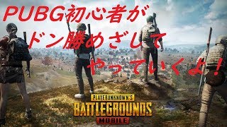 がばがばエイムで目指せドン勝【PUBG】【PS4】