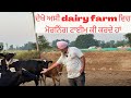 MORNING TIME AT AULAKH DIARY FARM | RAMPURA PHUL | BATHINDA | PUNJAB |