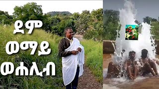 በርሚል ጊዮርጊስ ተአምር | እንደሰማን እንዲሁ አየን | በከመ ሰማዕነ ከማሁ ርኢነ