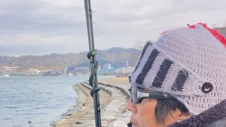 琵琶湖バス釣りライブR7-2/14