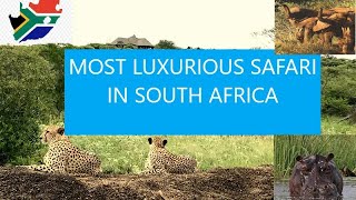 Most Luxurious Safari Lodges in South Africa