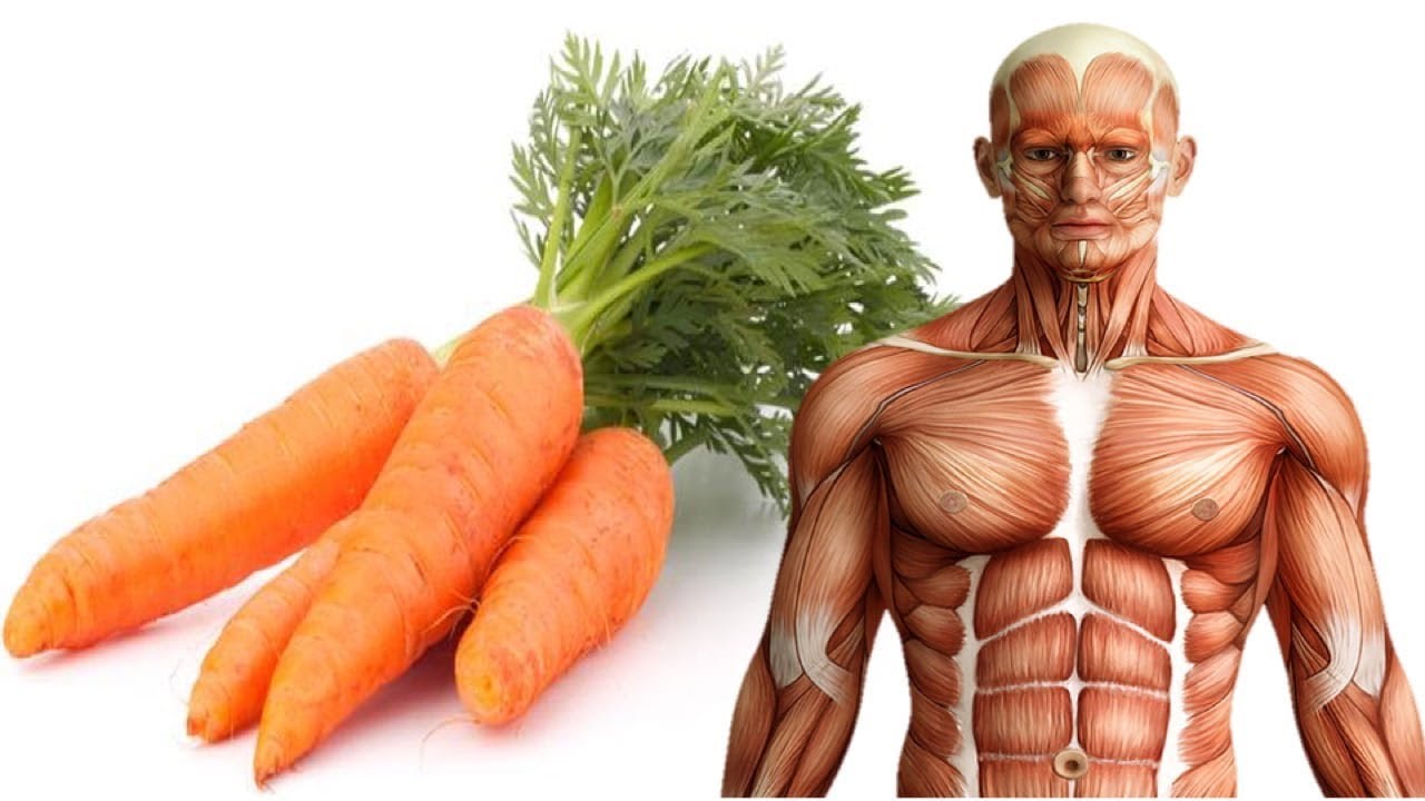 Amazing Things Happen To Your Body If You Eat Just One Carrot A Day ...