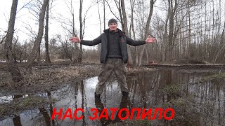 КУПИЛ ХУТОР в ЛЕСУ на КРАЮ БОЛОТА. Часть 107. ПРИШЛА ВОДА.