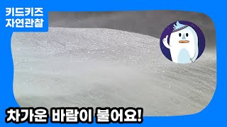 [자연관찰] 차가운 바람이 불어요ㅣ키드키즈ㅣ유아동화ㅣ어린이동화ㅣ자연동화ㅣ유치원동화ㅣ어린이집동화ㅣ환경과생활ㅣ11월동화