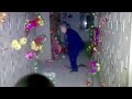 Paranormal Adventure in Columbarium 20241006