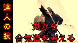 【達人に習うシリーズ】（剣・居合）から合気道を解釈する／四方投げ編／柔剣雷心会・永野柔心先生