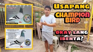 USAPANG CHAMPION BIRD (PWEDE BANG IBENTA?🤔)